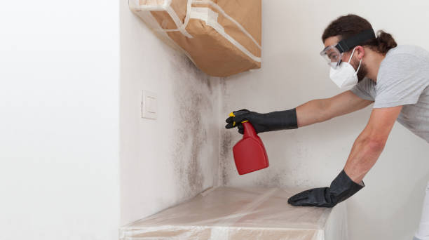 Professional Mold Testing technician working in Orrstown, PA