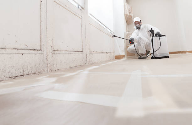 24/7 Emergency Mold Testing experts in Orrstown, PA